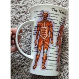 Nwt Disney Parks Anatomy Mug